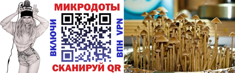 Псилоцибиновые грибы Magic Shrooms  Купить закладки  Заволжье 